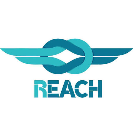 REACH Textile Logo